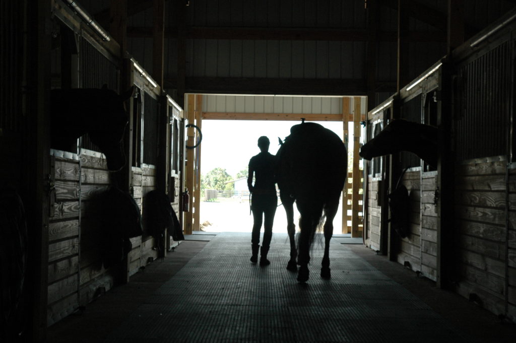 Double M Stables Horse boarding and leasing in Port Charlotte and