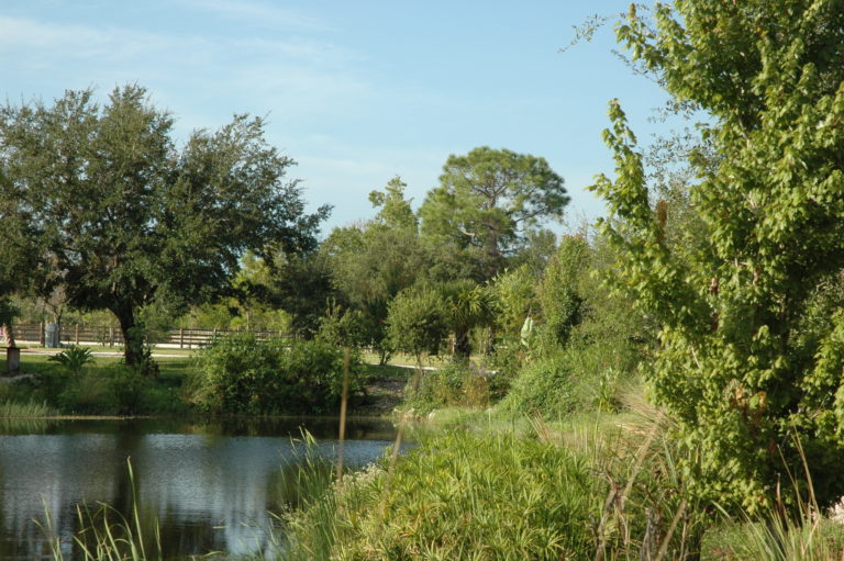 Double M Stables Horse boarding and leasing in Port Charlotte and