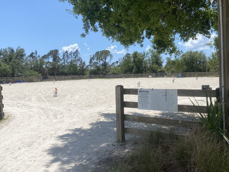 Double M Stables Horse boarding and leasing in Port Charlotte and